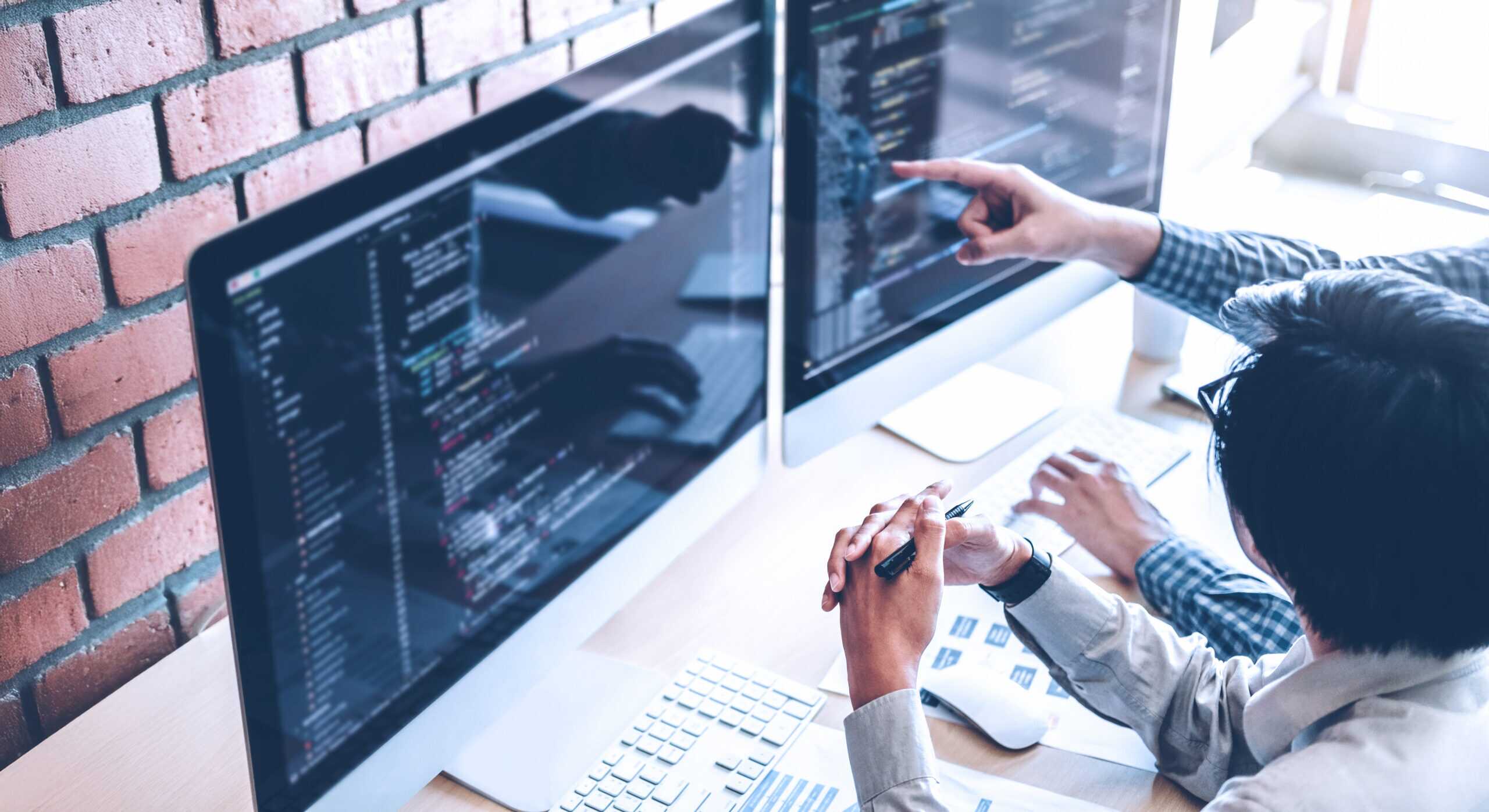 Developing Programmer Team Development Website Design And Coding
