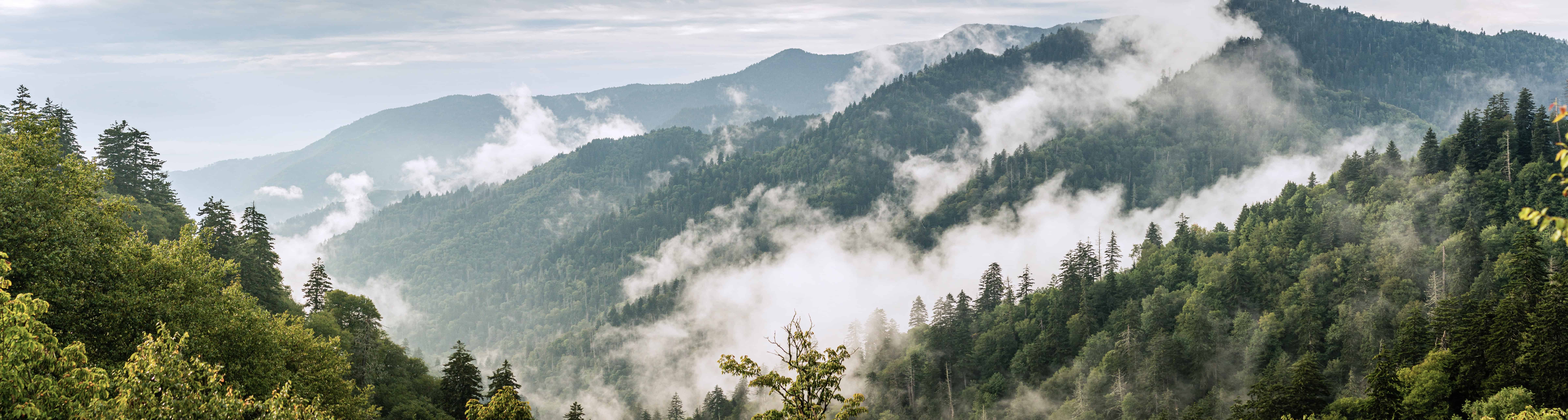 Panorama View Of Foggy Forest In Smoky Mountains National Park A