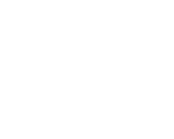 Clevertouch Logo