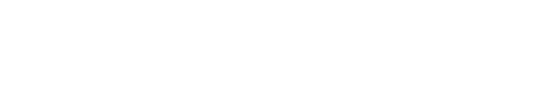 Netapp Logo