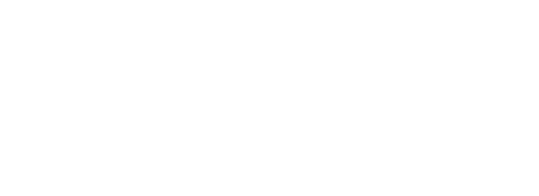 Rsa Security Logo